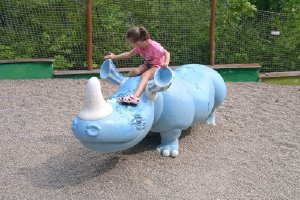 Blue rhinoceros