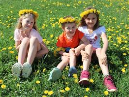 Children on a blooming meadow