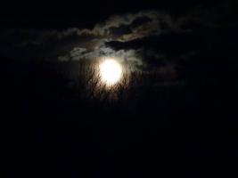 Erie Moon