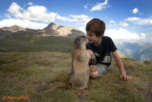 Matteo and marmots