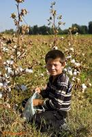 Boys from cotton farm in Uzbekistan
