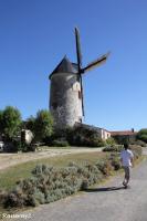 Huy - 2016-07-18 - Visit of a windmill